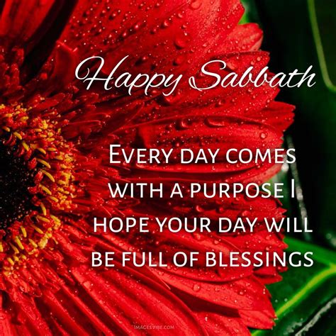 Wishing all of God's <b>blessings</b> for all. . Happy sabbath blessings